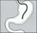 gi2.gif
